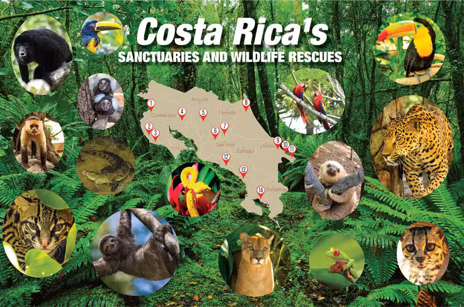 Costa-Rica-Sanctuaries-and-Wildlife-Rescues-Map-Howler-Magazine-the-heart-of-Costa-Rica Costa-Rica-Sanctuaries-and-Wildlife-Rescues-Map-Howler-Magazine-the-heart-of-Costa-Rica