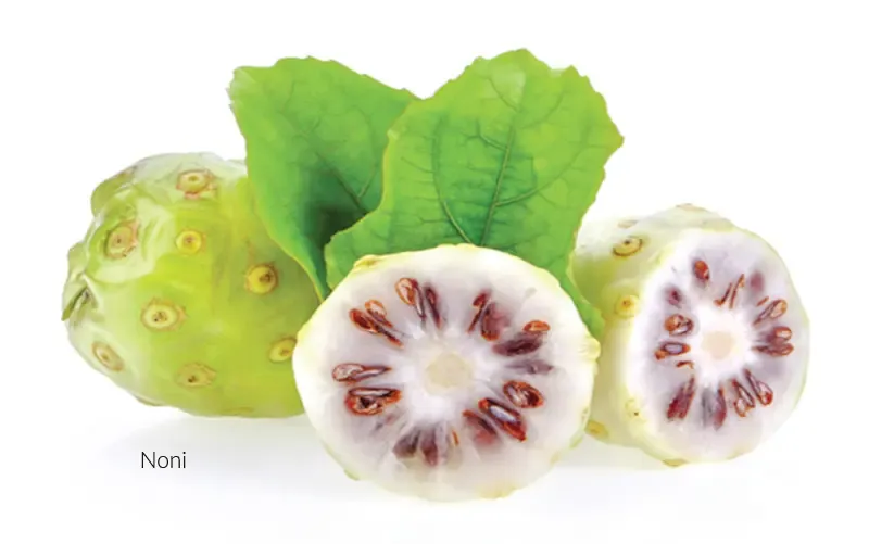Noni Costa Rica Superfoods Nutrient-dense food