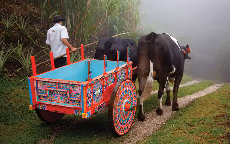 ox-car-bygone-costa-rica