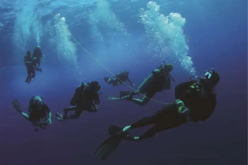 Featured Adventure Scuba Diving in Costa Rica The Howler Magazine