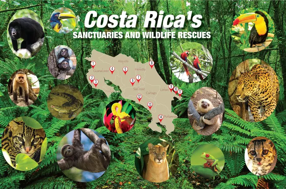 Costa-Rica-Sanctuaries-and-Wildlife-Rescues-Map-Howler-Magazine-the-heart-of-Costa-Rica