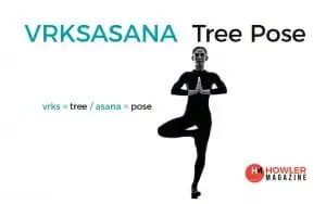 yogapedia-how to do tree-pose-vrksasana-costa-rica