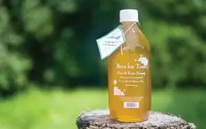 bees-for-trees-resotring-our-watershed-tamarindo