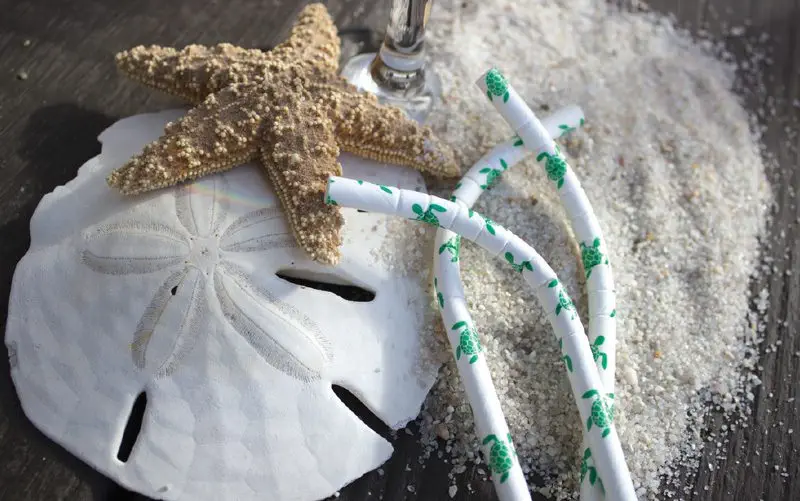 No-Straw-challenge-no-plastic-movement-Costa-Rica