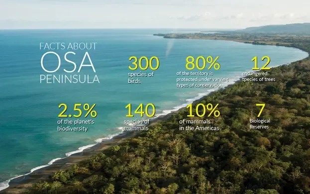 Osa-Peninsula-facts-Ecotourism-in-Costa-Rica Caminos de Osa