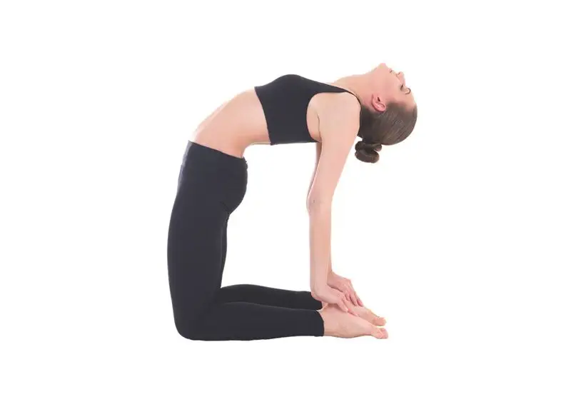 Ustrasana-Camel-Pose-Yogapedia
