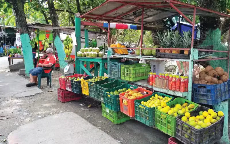typical fruit and veggie stand costa rica